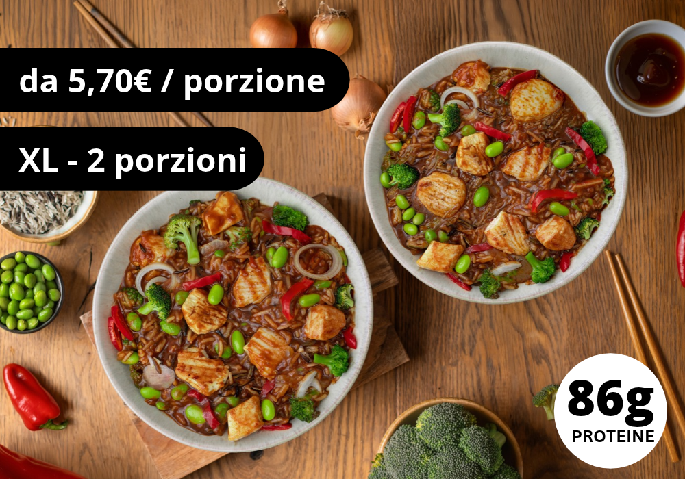 Chicken Teriyaki (XL, 2 porzioni)